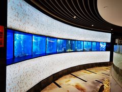 -新加坡珍宝海鲜JUMBO Seafood(西安skp店)