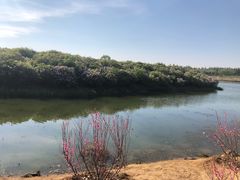 -丁香湖公园