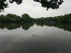 -西湖外事游船(花港观鱼码头)