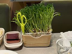 -海底捞火锅(漕宝路店)