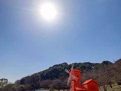 -苏州上方山国家森林公园