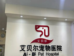 -艾贝尔宠物医院·24H转诊中心·肿瘤猫专科(江宁双龙店)