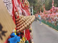 -西双版纳原始森林公园