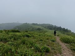 -大觉寺-停车场