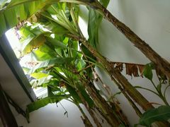 -李时珍纪念馆