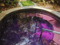 -碧桂园润杨溪谷温泉酒店