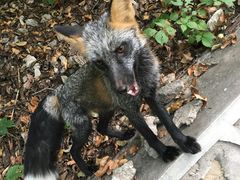 -九鼎铁刹山风景区