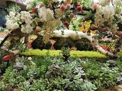 -花之城
