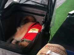 -汉堡王(徐汇绿地缤纷店)