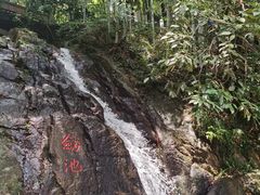 -莫干山风景区