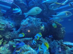 -成都浩海立方海洋公园