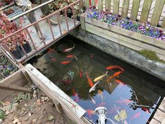 -老洋房花园饭店(绍兴路店)