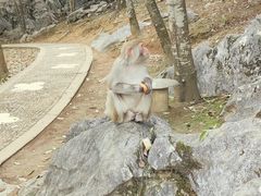-千岛湖东南湖区