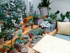-拾壹cafe·工作室