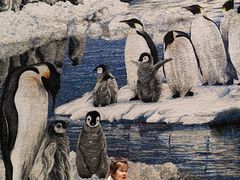 -帝企鹅自助餐厅•儿童岛•真企鹅(长隆企鹅酒店)