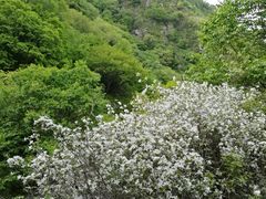 -阳台山自然风景区