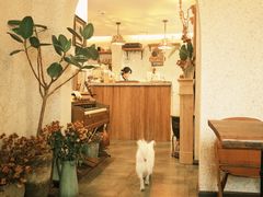 -绿房子方寸咖啡(星海名城店)