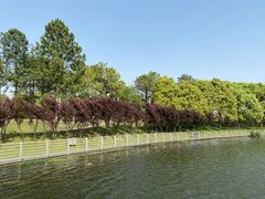 -美兰湖景区