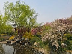 -石家庄市植物园