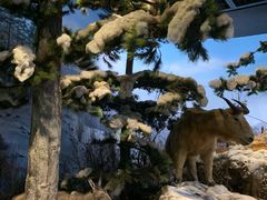 -陕西自然博物馆