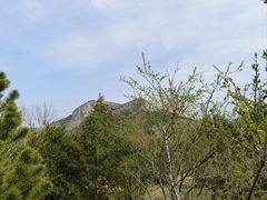 -佛慧山