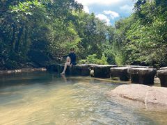 -广州白江湖森林公园