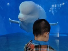 -泉城欧乐堡海洋极地世界