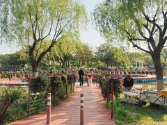 -上海鲜花港