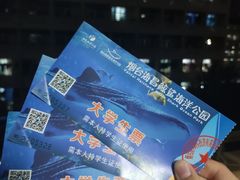 -烟台海昌鲸鲨海洋公园