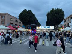 -特克斯八卦城