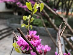 -孝子祠公园