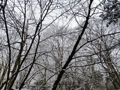 -九峰山