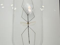 -上海昆虫博物馆