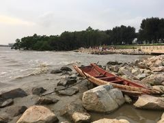 -宝安西湾红树林湿地公园