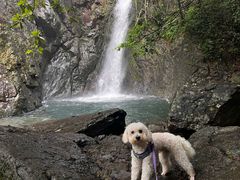 -宁波五龙潭景区