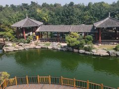 -中国唐苑