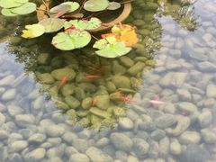 -春林凉面(钢花新村116街坊店)