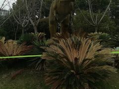 -自然谷恐龙园