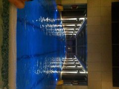 -上海浦东康桥绿地假日酒店