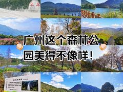 -广州市石门国家森林公园