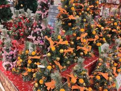 -AEON永旺(东方宝泰店)