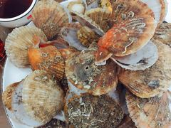 水煮扇贝-抹直口特色菜馆(一店)