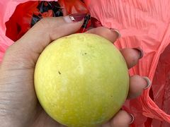 -新鸿港水果市场(三亚新鸿港国际商品交易中心店)