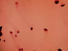 -沈阳海洋探索中心