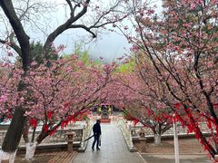 -石岛赤山风景区