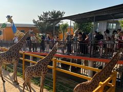 -西霞口神雕山野生动物世界