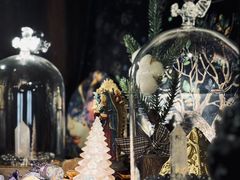 -雪灵魔法世界SHELLY’S TAROT(大良桂畔里店)