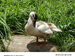 -苏州河梦清园环保主题公园