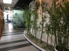 -樱花国际日语(徐家汇中心)