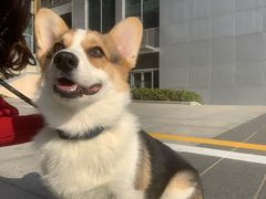 -火车头法国西餐厅